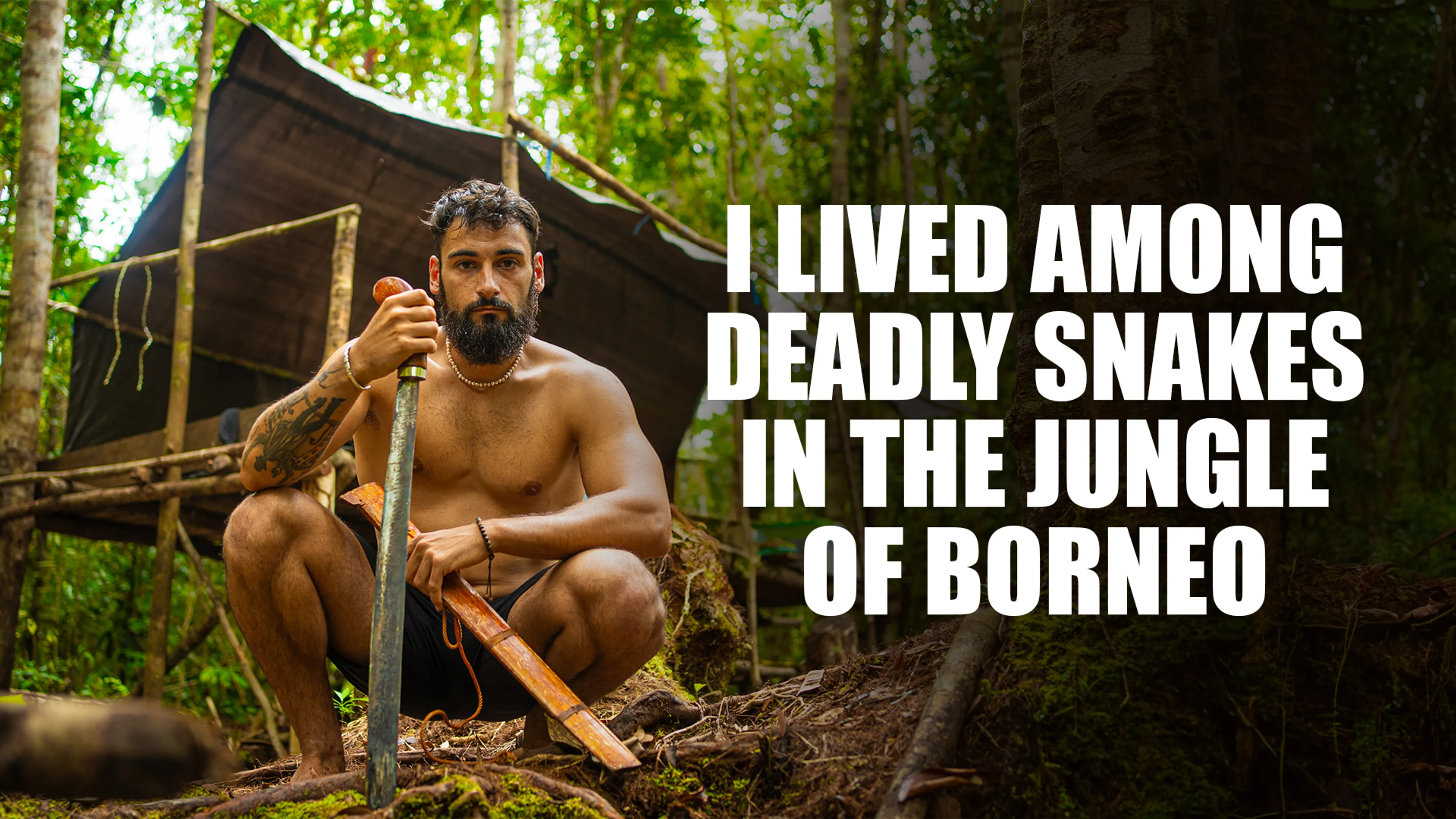 I Lived Among Deadly Snakes in the Jungle of Borneo poster